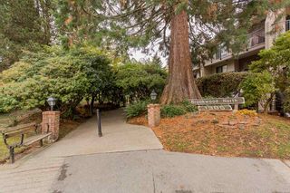 Photo 39: 108 1385 DRAYCOTT Road in North Vancouver: Lynn Valley Condo for sale in "BROOKWOOD NORTH" : MLS®# R2514783
