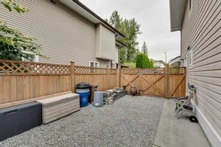Photo 15: 23890 118A Avenue in Maple Ridge: Cottonwood MR House for sale : MLS®# R2303830