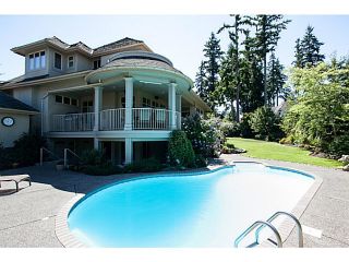 Photo 17: 2083 136A Street in South Surrey White Rock: Elgin Chantrell Home for sale ()  : MLS®# F1448521