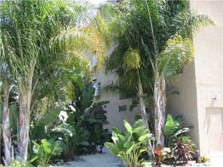 Photo 1: HILLCREST Condo for sale : 2 bedrooms : 2651 Front Street #302 in San Diego