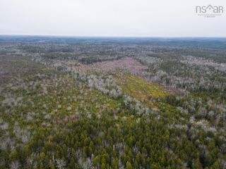 Photo 23: Lot Brazil Lake Road in Brazil Lake: County Hwy 340 Vacant Land for sale (Yarmouth)  : MLS®# 202300630