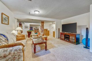 Photo 48: 51 Edelweiss Court NW in Calgary: Edgemont Detached for sale : MLS®# A2058040