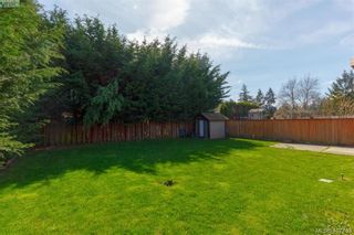 Photo 32: 1035 Nicholson St in VICTORIA: SE Lake Hill House for sale (Saanich East)  : MLS®# 810358
