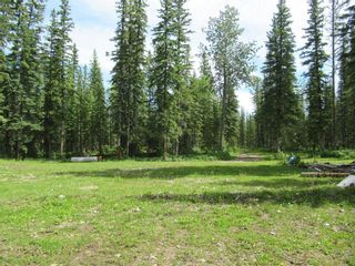 Photo 10: 70041 Highway 591: Rural Clearwater County Detached for sale : MLS®# C4305359