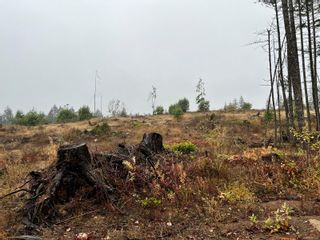 Photo 15: Lt B Whiting Way in Nanaimo: Na Cedar Unimproved Land for sale : MLS®# 918797