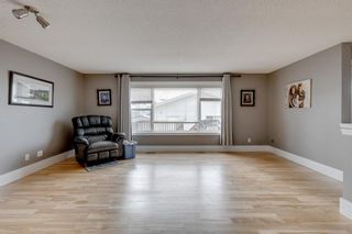 Photo 5: 134 Elgin Way SE in Calgary: McKenzie Towne Detached for sale : MLS®# A2008966