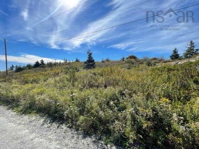 Main Photo: Lot Long Cove Road in Port Medway: 406-Queens County Vacant Land for sale (South Shore)  : MLS®# 202225981
