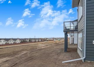 Photo 41: 190 Baneberry Way SW: Airdrie Detached for sale : MLS®# A2095571