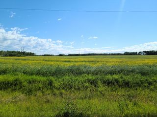 Photo 26: On Range Road 52: Rural Parkland County Commercial Land for sale : MLS®# A1252782