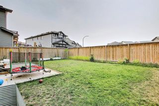 Photo 41: 509 Skyview Ranch Way NE in Calgary: Skyview Ranch Detached for sale : MLS®# A1139222