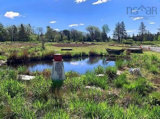 Photo 6: 15 Nauglers Settlement Road in Moser River: 35-Halifax County East Vacant Land for sale (Halifax-Dartmouth)  : MLS®# 202212177