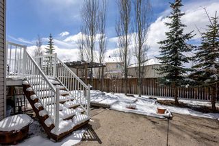 Photo 42: 13 Royal Birch Hill NW in Calgary: Royal Oak Detached for sale : MLS®# A2121795