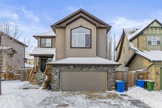 Photo 2: 180 Lavender Link: Chestermere Detached for sale : MLS®# A2102762