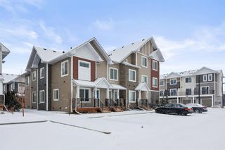 Photo 30: 457 CANALS Crossing SW: Airdrie Row/Townhouse for sale : MLS®# A2014502
