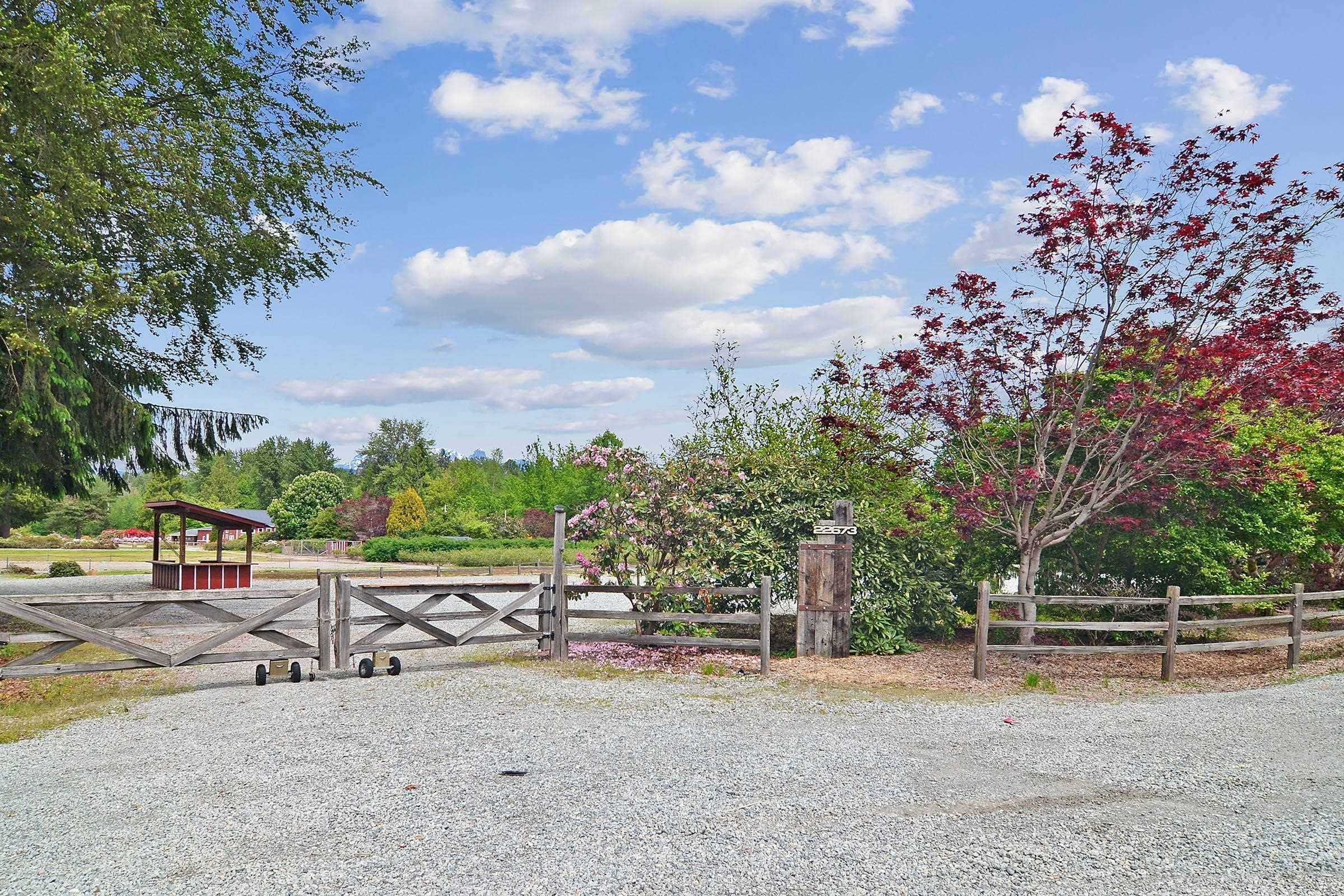 Main Photo: 22673 132 Avenue in Maple Ridge: Silver Valley House for sale : MLS®# R2698036