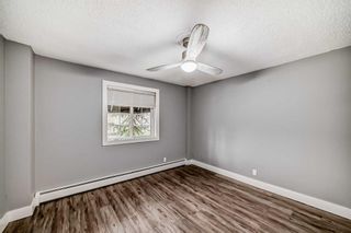 Photo 13: 304 501 57 Avenue SW in Calgary: Windsor Park Apartment for sale : MLS®# A2128054