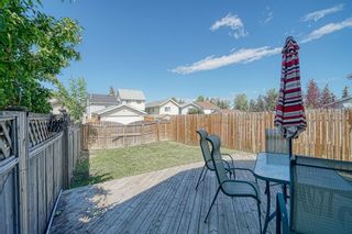 Photo 29: 9 Erin Grove Court SE in Calgary: Erin Woods Detached for sale : MLS®# A1244725