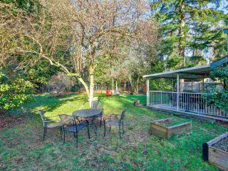 Photo 21: 10267 159A STREET in Surrey: Guildford House for sale (North Surrey)  : MLS®# R2528496