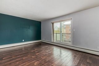 Photo 12: 413 617 56 Avenue SW in Calgary: Windsor Park Apartment for sale : MLS®# A2047908