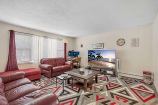 Photo 18: 6131 Bowness Road NW in Calgary: Bowness 4 plex for sale : MLS®# A2125637