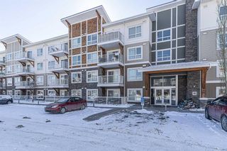 Main Photo: 3210 302 Skyview Ranch Drive NE in Calgary: Skyview Ranch Apartment for sale : MLS®# A2114702