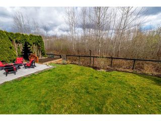 Photo 18: 3732 DUNDEE Place in Abbotsford: Central Abbotsford House for sale in "CHIEF DAN GEORGE AREA" : MLS®# R2352168