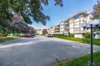 Photo 22: 312 5710 201 Street in Langley: Langley City Condo for sale in "WHITE OAKS" : MLS®# R2387162