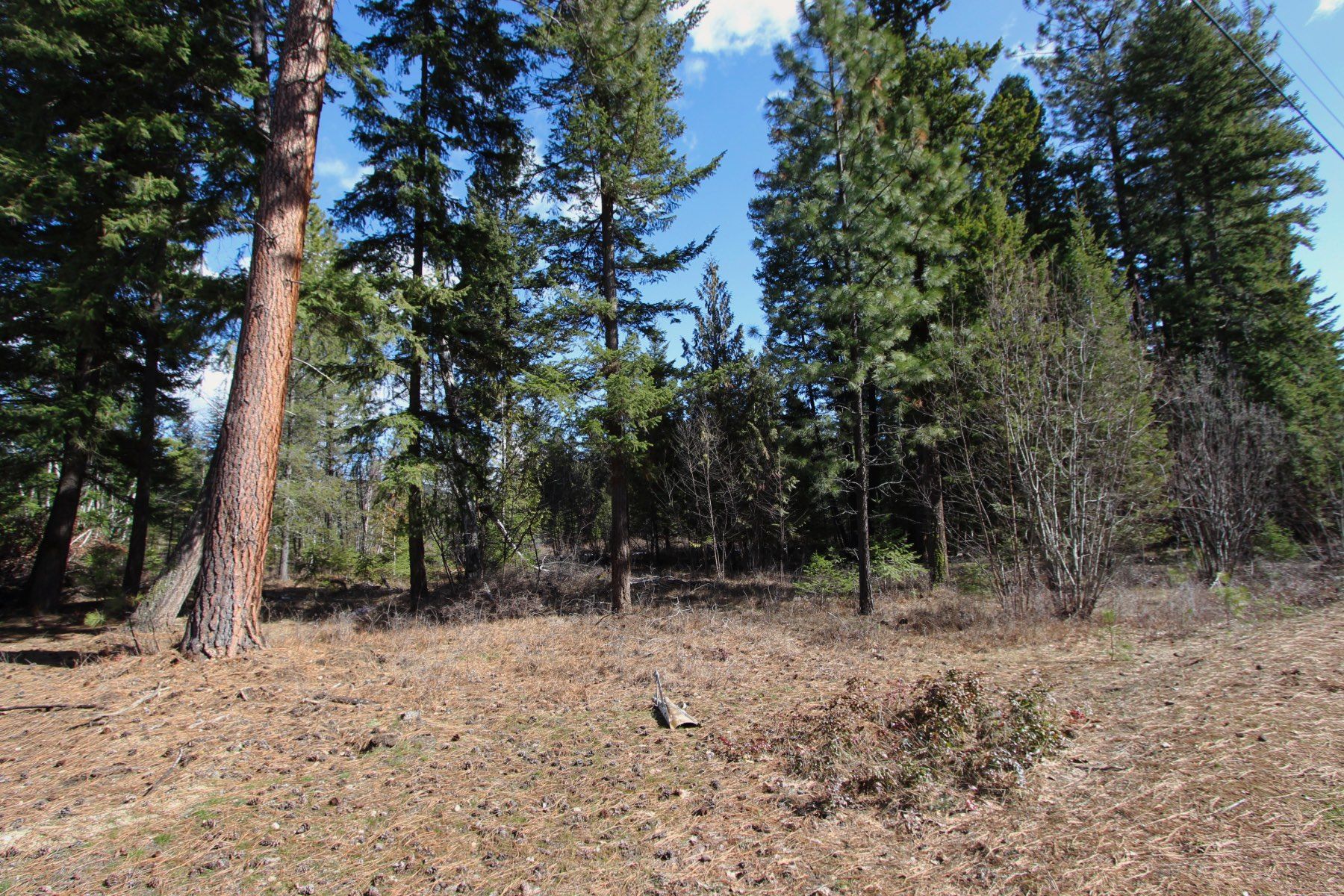 Photo 8: Photos: Lot B Zinck Road in Scotch Creek: Land Only for sale : MLS®# 10249220