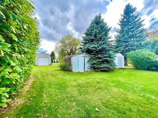 Photo 9: 115 Poplar Avenue in Dauphin: R30 Residential for sale (R30 - Dauphin and Area)  : MLS®# 202327747