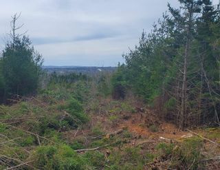 Photo 2: Lot Lisa Ann Drive in West Lawrencetown: 31-Lawrencetown, Lake Echo, Port Vacant Land for sale (Halifax-Dartmouth)  : MLS®# 202323130
