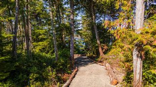 Photo 17: 392 Reef Point Rd in Ucluelet: PA Ucluelet Land for sale (Port Alberni)  : MLS®# 912992