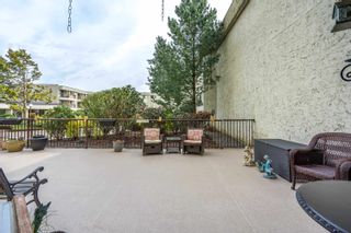 Photo 24: 107 31955 OLD YALE Road in Abbotsford: Central Abbotsford Condo for sale in "Evergreen Village" : MLS®# R2863403