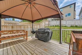 Photo 42: 205 Kincora Crescent NW in Calgary: Kincora Detached for sale : MLS®# A1234419