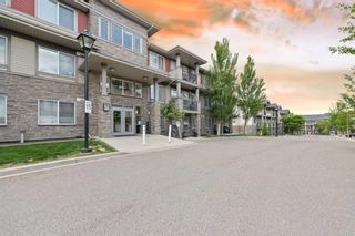 Photo 32: 308 76 Panatella Road NW in Calgary: Panorama Hills Apartment for sale : MLS®# A2143334