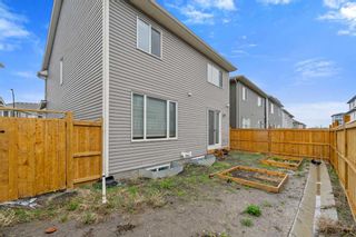 Photo 39: 188 Cityspring Way NE in Calgary: Cityscape Detached for sale : MLS®# A2130184