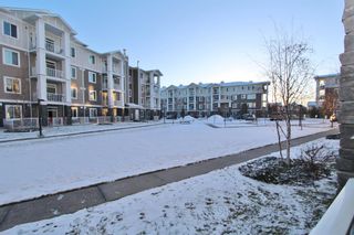 Photo 14: 1106 522 Cranford Drive SE in Calgary: Cranston Apartment for sale : MLS®# A2014371