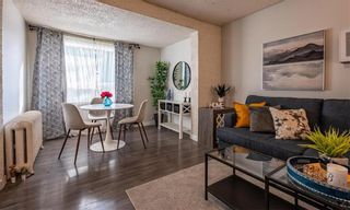 Photo 6: 249 Kilbride Avenue in Winnipeg: West Kildonan Residential for sale (4D)  : MLS®# 202323804