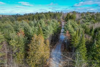Photo 6: Exclusive 10 acre building lot ready for your dream home nestled between Almonte & Perth!