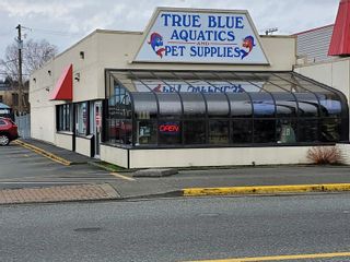 Photo 1: 1362 16th Ave in Campbell River: CR Campbell River Central Business for sale : MLS®# 908068