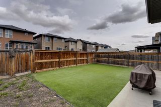 Photo 43: 58 Evansfield Road NW in Calgary: Evanston Detached for sale : MLS®# A1232161