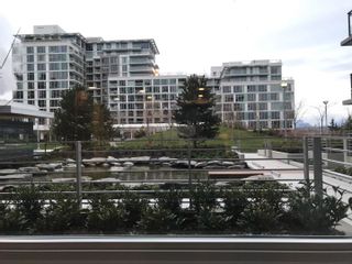 Photo 3: 305 3300 KETCHESON Road in Richmond: West Cambie Condo for sale in "Concord Garden Phase 4" : MLS®# R2631940