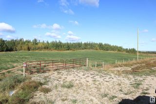 Photo 6: Hwy 611 RR 11: Rural Ponoka County Rural Land/Vacant Lot for sale : MLS®# E4314403