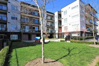 Photo 8: 418 12070 227 Street in Maple Ridge: East Central Condo for sale in "STATION ONE" : MLS®# R2364087