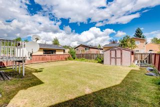 Photo 30: 347 Whitefield Drive in Calgary: Whitehorn Detached for sale : MLS®# A1140595