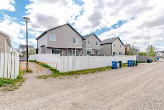 Photo 50: 35 Saddlehorn Crescent NE in Calgary: Saddle Ridge Detached for sale : MLS®# A1225112