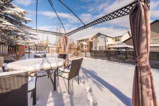 Photo 40: 109 Cougarstone Manor SW in Calgary: Cougar Ridge Detached for sale : MLS®# A2022531