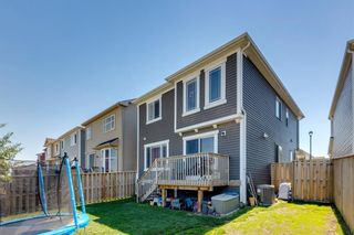 Photo 28: 144 Windford Rise SW: Airdrie Detached for sale : MLS®# A1122596