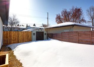 Photo 47: 4208 Bowlen Street NW in Calgary: Brentwood Detached for sale : MLS®# A2032370