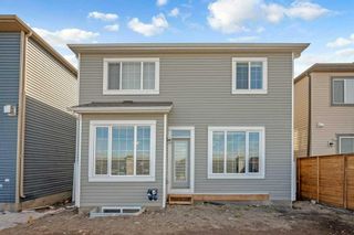 Photo 46: 13 Cityside Link NE in Calgary: Cityscape Detached for sale : MLS®# A2122862