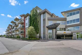 Photo 1: 428 4303 1 Street NE in Calgary: Highland Park Apartment for sale : MLS®# A2121485